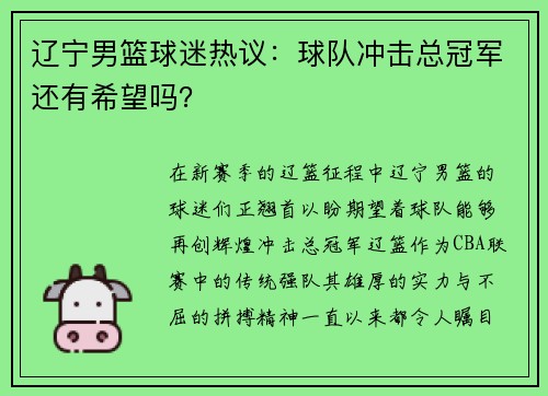 辽宁男篮球迷热议：球队冲击总冠军还有希望吗？