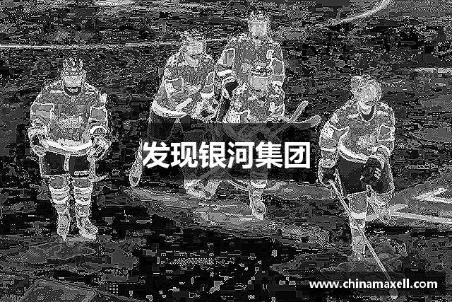 发现银河集团